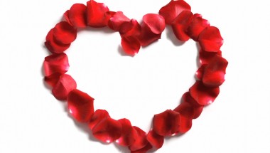Heart-IDEAS